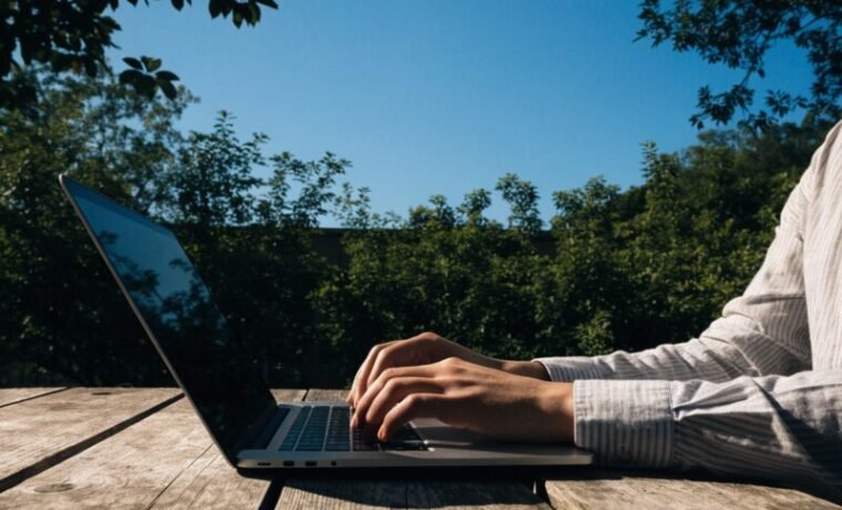 Registro e gestão de domínios na internet